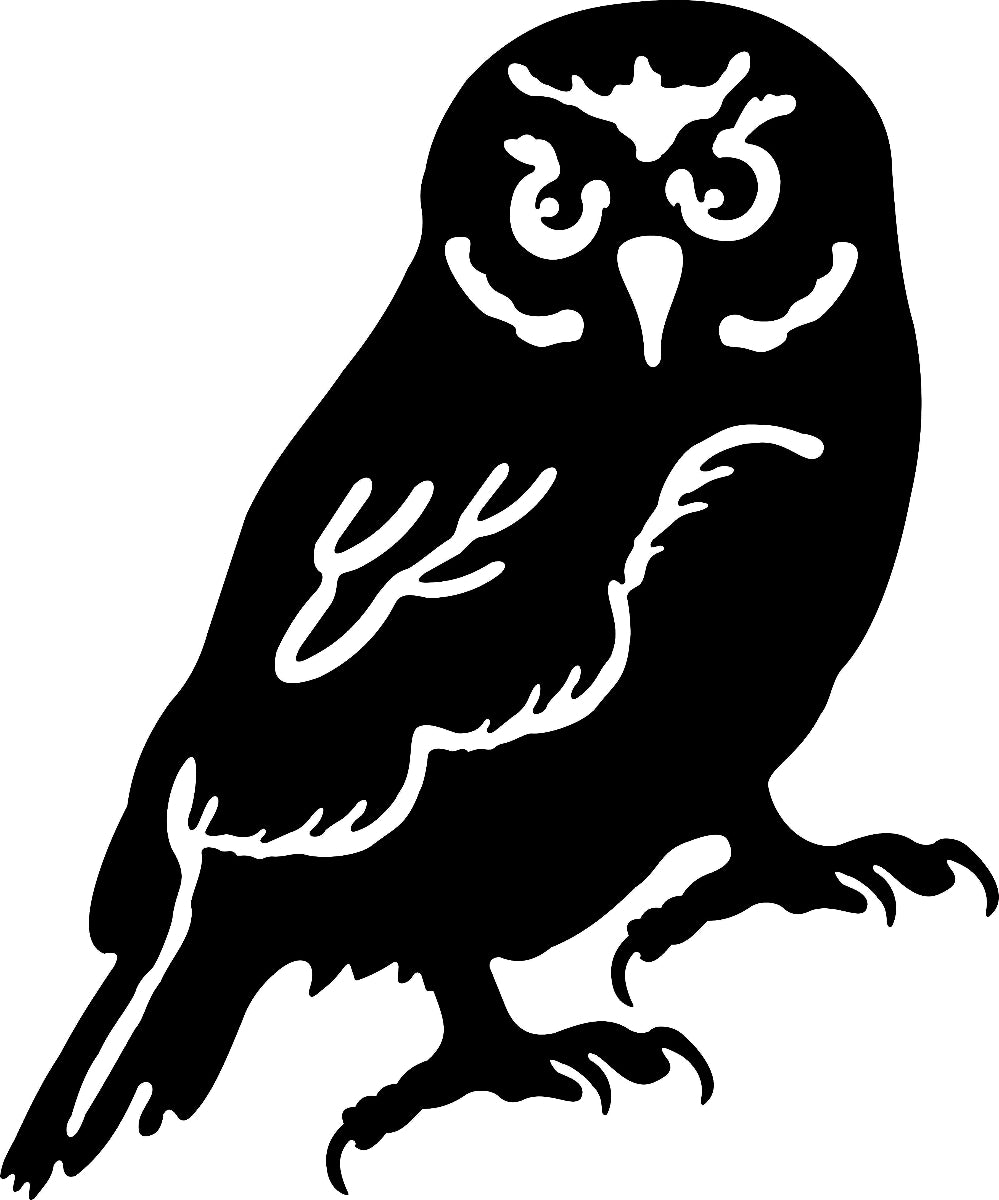 Metal Bird - The Ruru