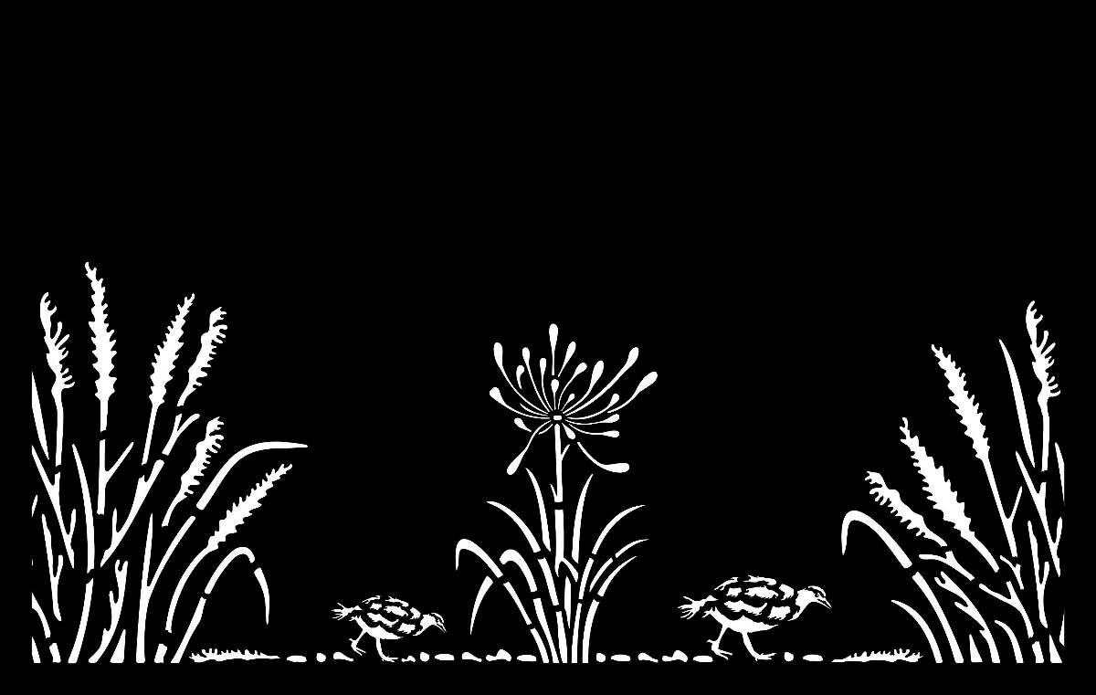 Toe Toe With Weka - Kiwi Bush Collection of Balustrades ( 1735 x 1100 mm )