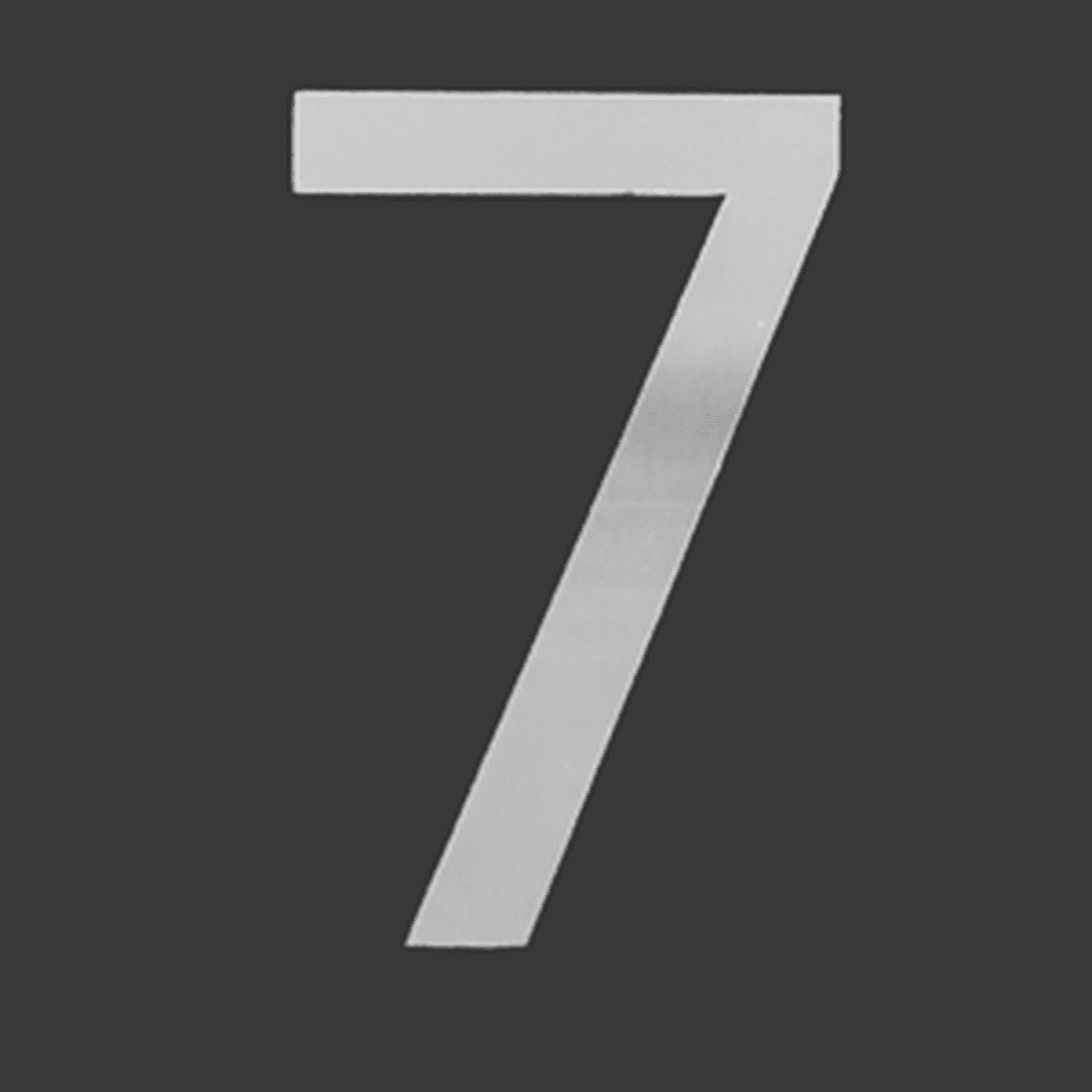 Stainless Steel House Numbers MS San Small (127mm)