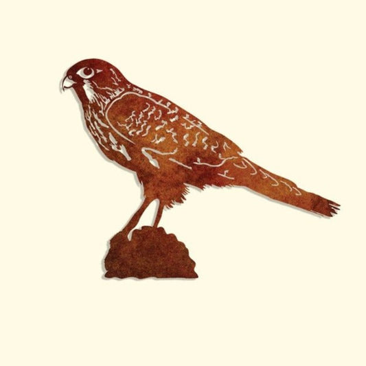 Metal Wall Art - "Kārearea" New Zealand Falcon