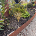 150 mm High. Corten Steel Garden Edging 3.00 mm Thick