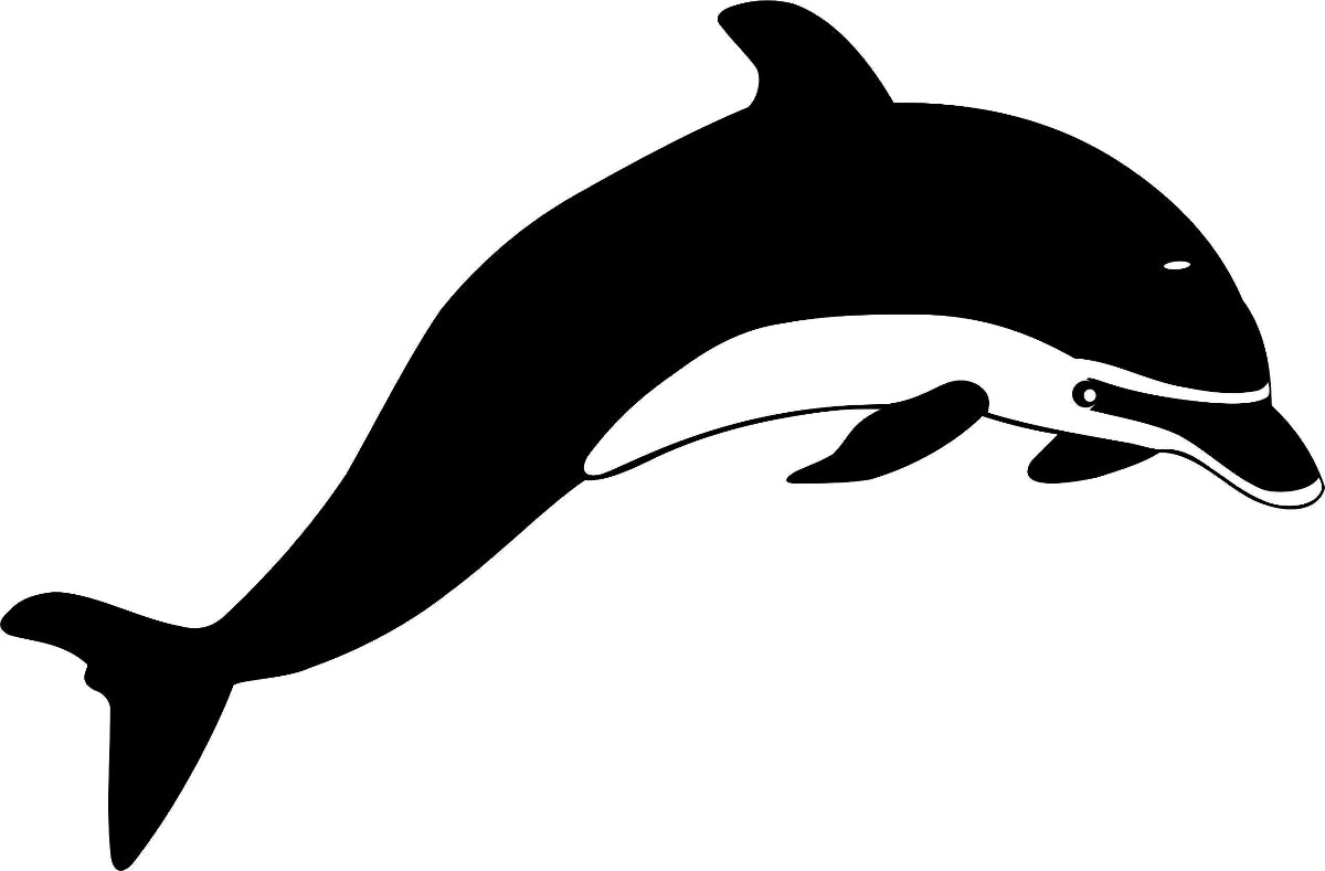 Wall Art - The Dolphins