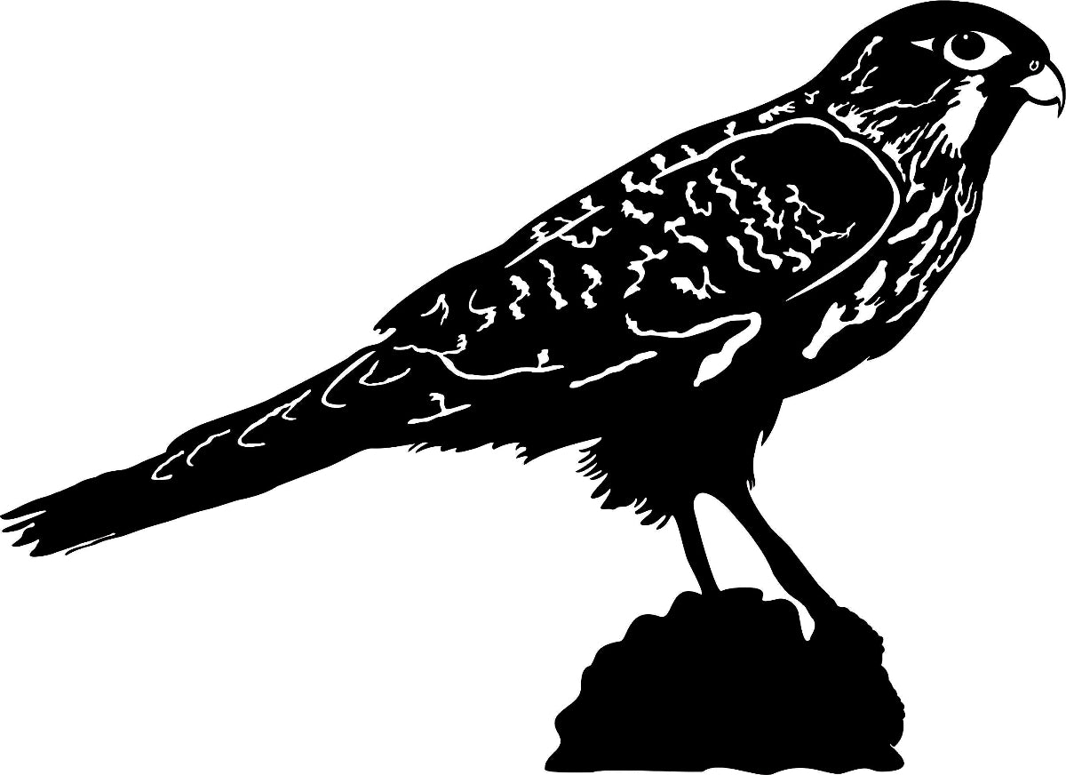 "Kārearea" New Zealand Falcon - Corten Steel Wall Art