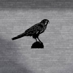 Metal Wall Art - "Kārearea" New Zealand Falcon