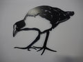 Powder Coated Metal Bird - Pukeko **Clearance**