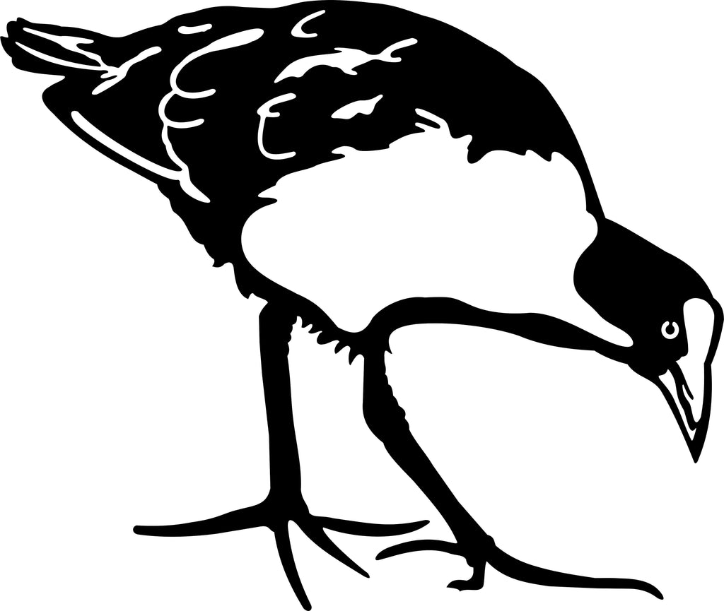 Metal Bird - Pukeko
