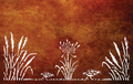 Toe Toe With Weka - Kiwi Bush Collection of Balustrades ( 1735 x 1100 mm )