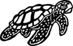 Turtle Tide Black Wall Art