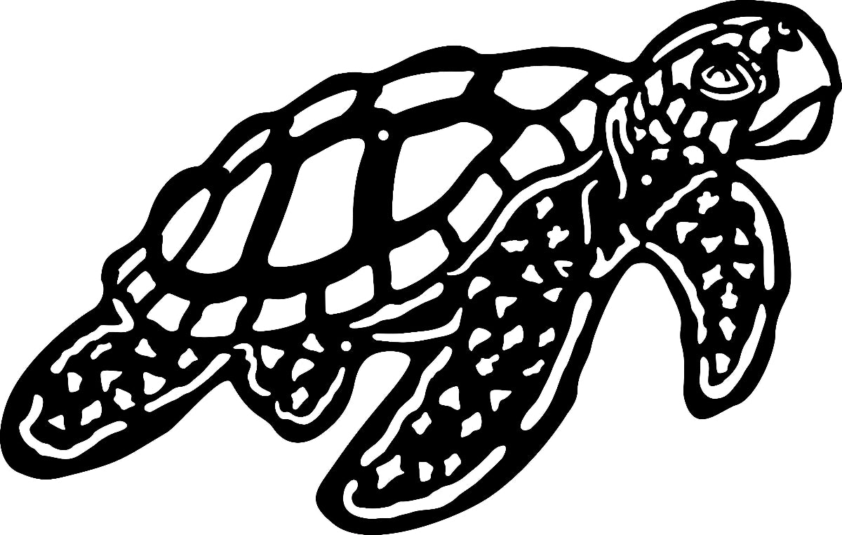 Turtle Tide Black Wall Art